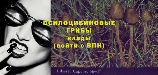 mdpv Дмитров