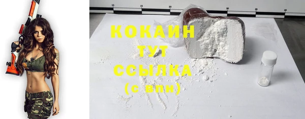 винт Елизово