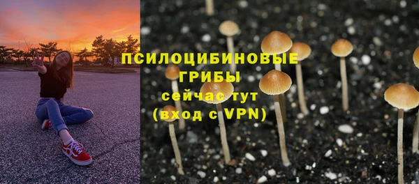 винт Елабуга