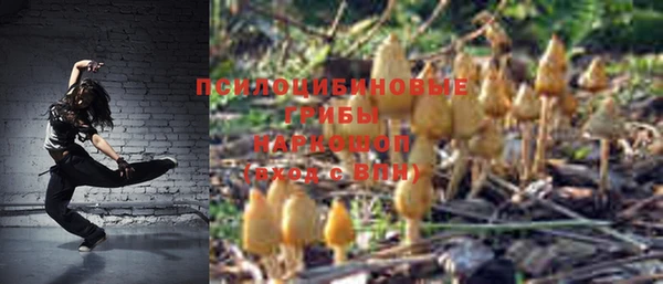 MESCALINE Галич