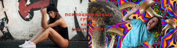винт Елабуга