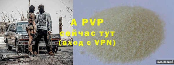 стафф Дмитриев